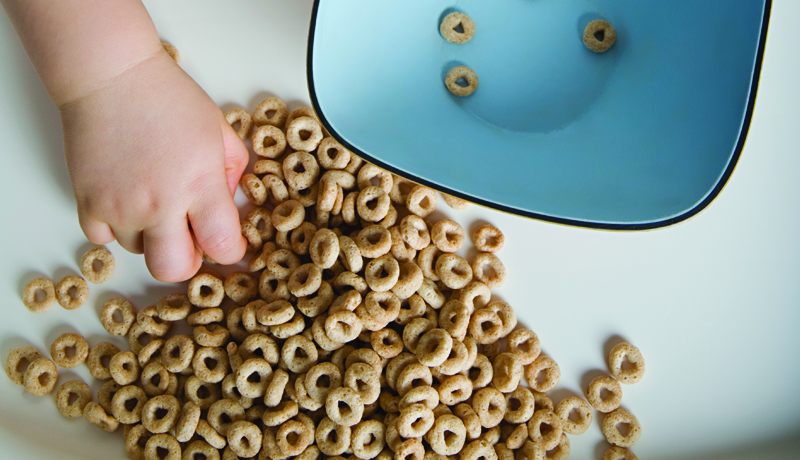 Alimentos que pueda tomar con su mano (cereal seco, galletas, trozos de tortilla)