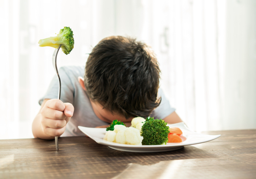 Let’s face it, feeding a toddler can be a challenge