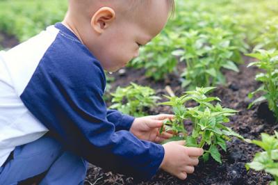 Planting your own food is fun for both parents and kids.